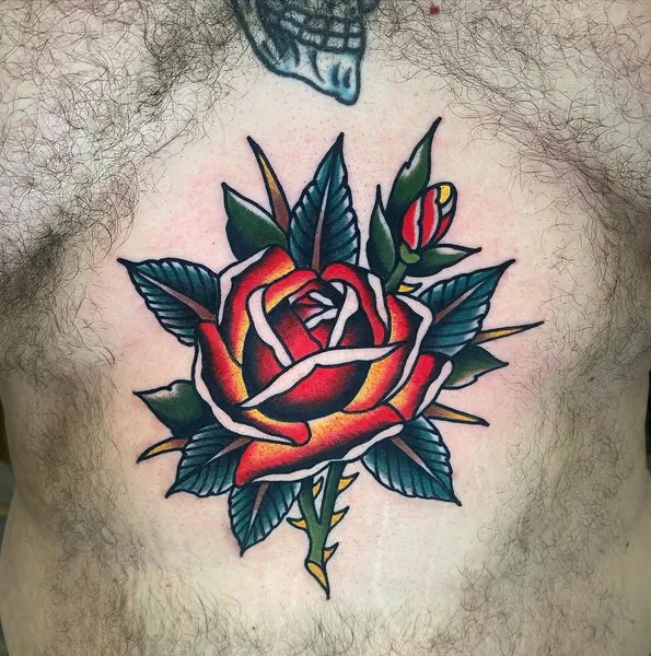 Flower, Rose, Nature