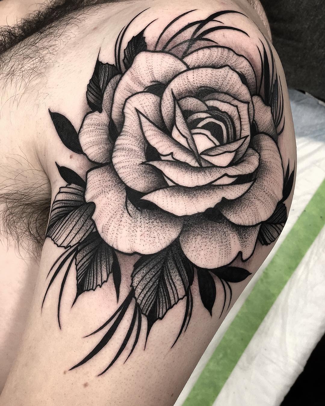 Flower, Rose, Nature