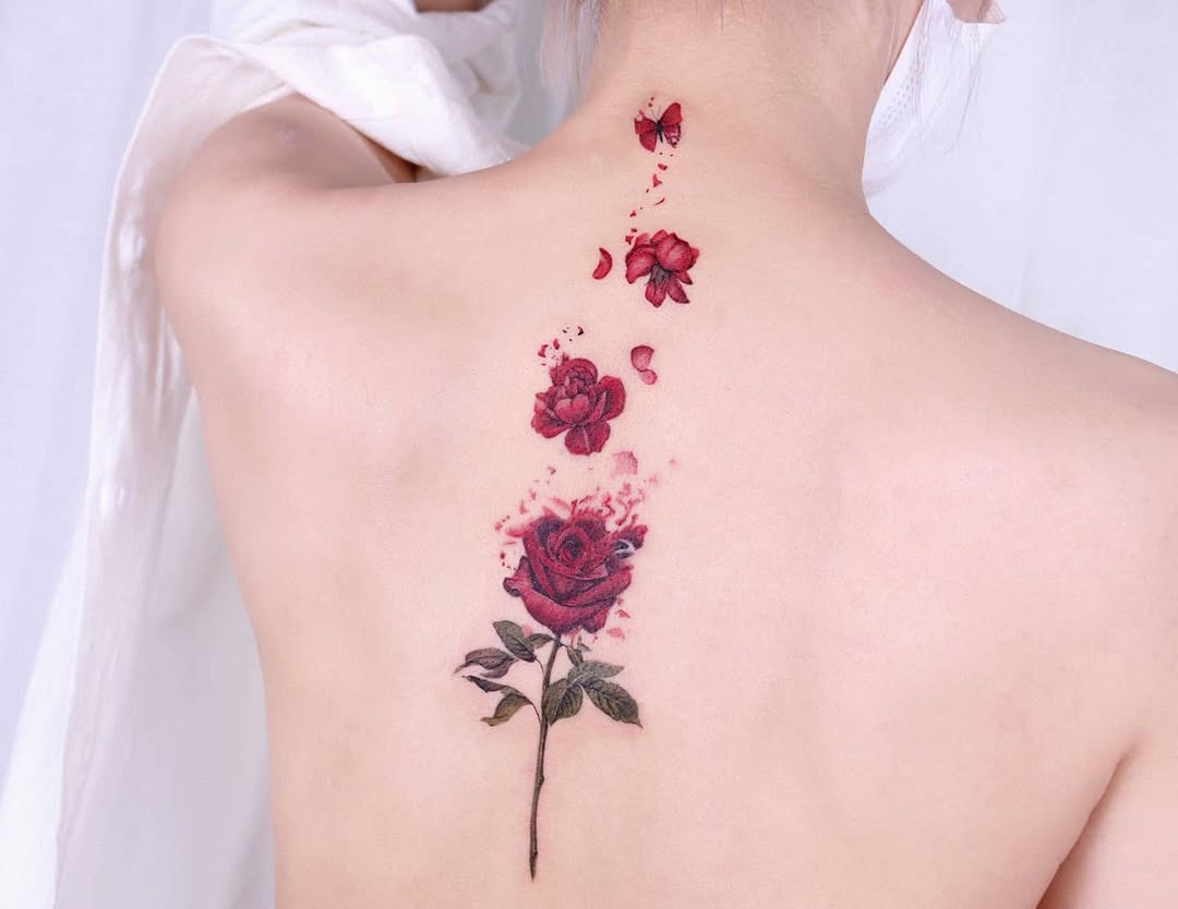 Flower, Rose