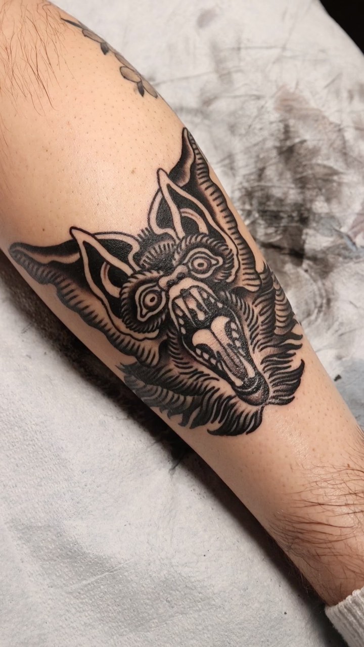 Tiger, Animal