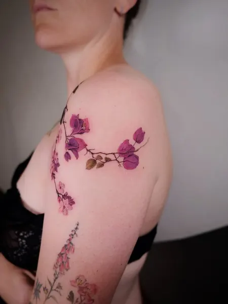 Flower, Rose, Nature