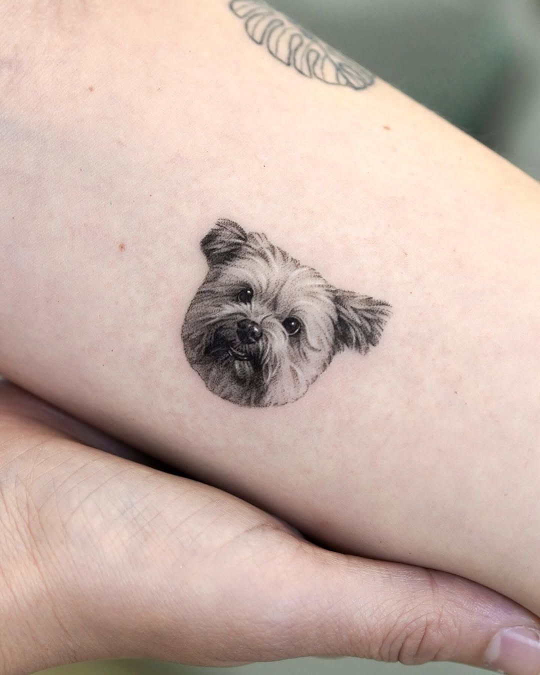 dorok.tattoo