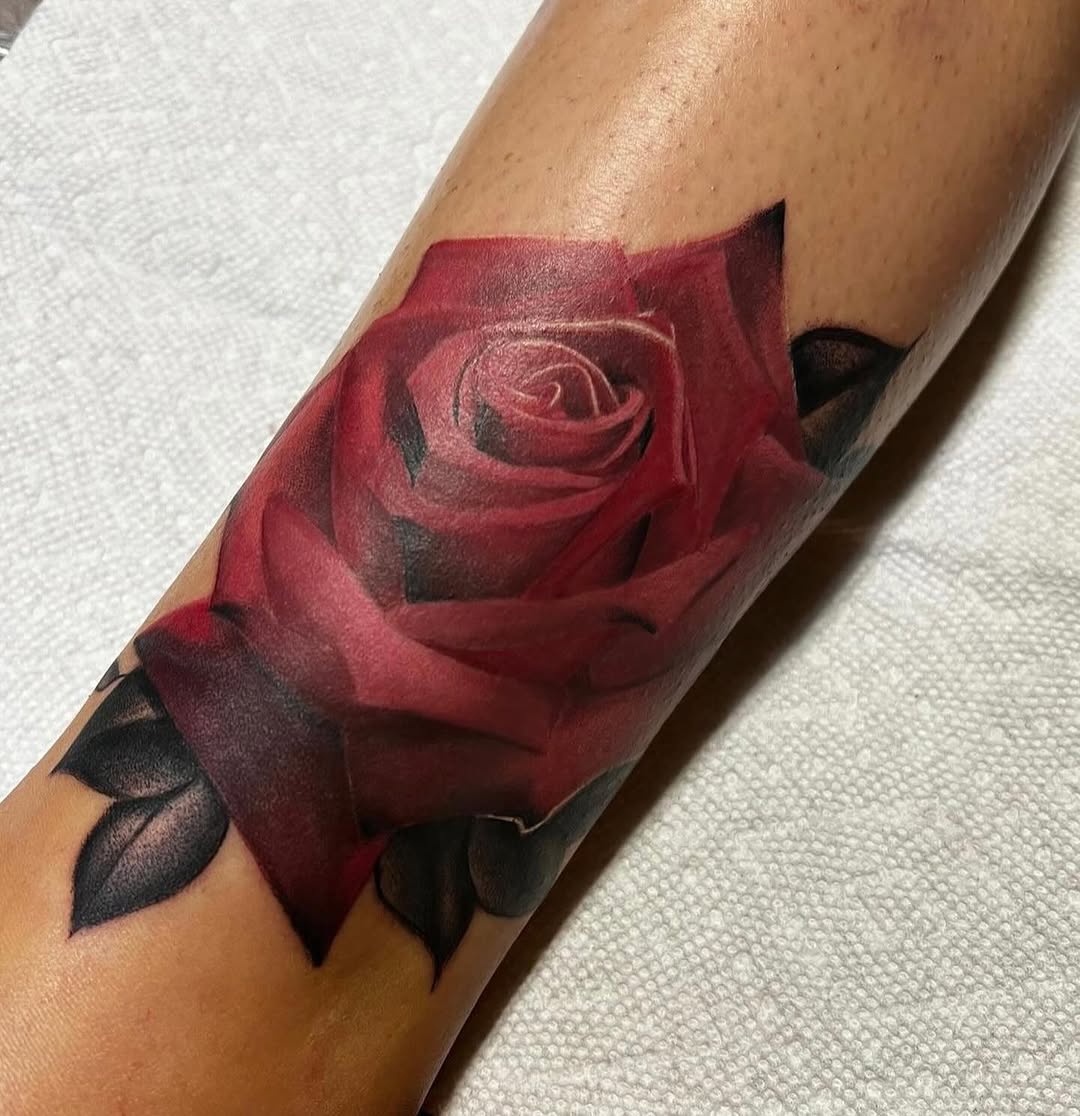 Flower, Rose