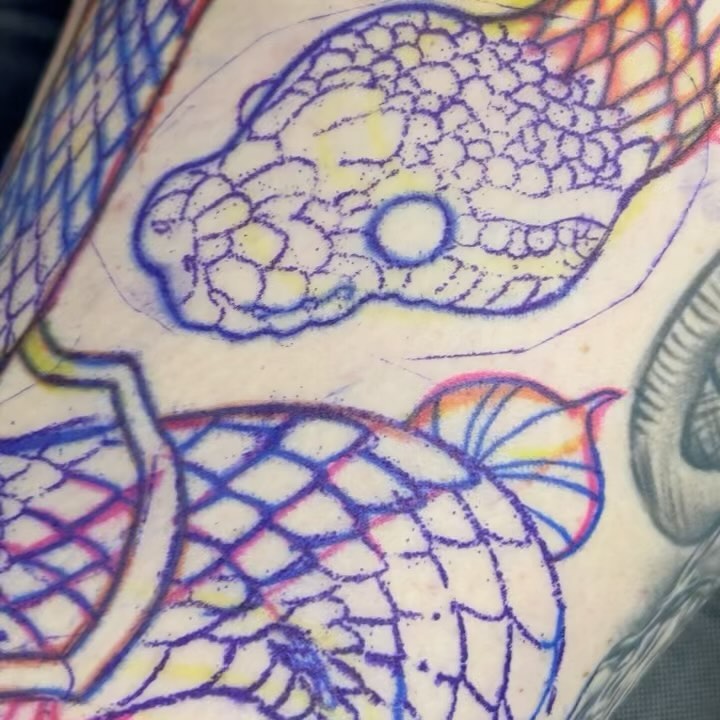 sarastigmata