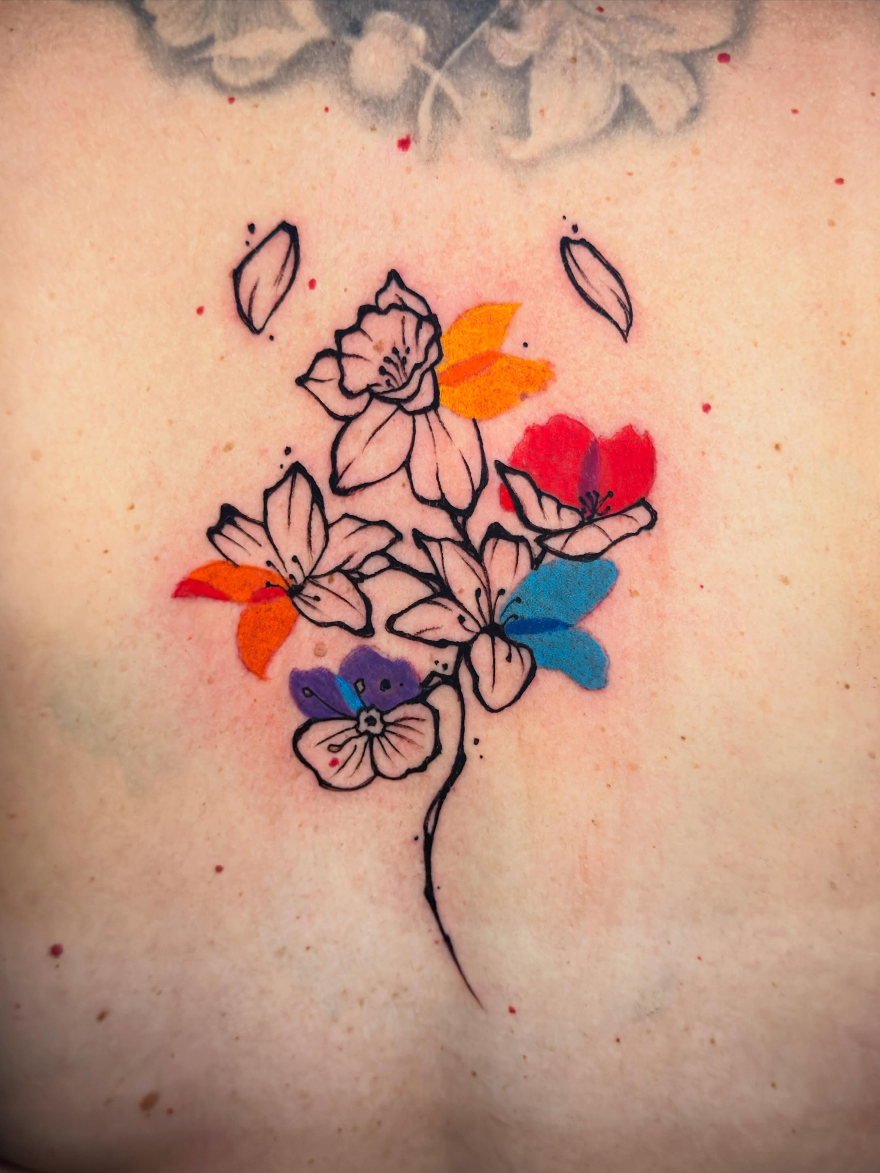 Flower, Nature, Rose