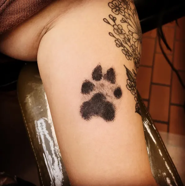 Animal