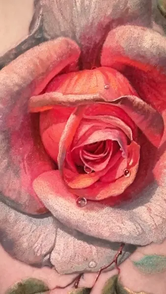 Flower, Rose