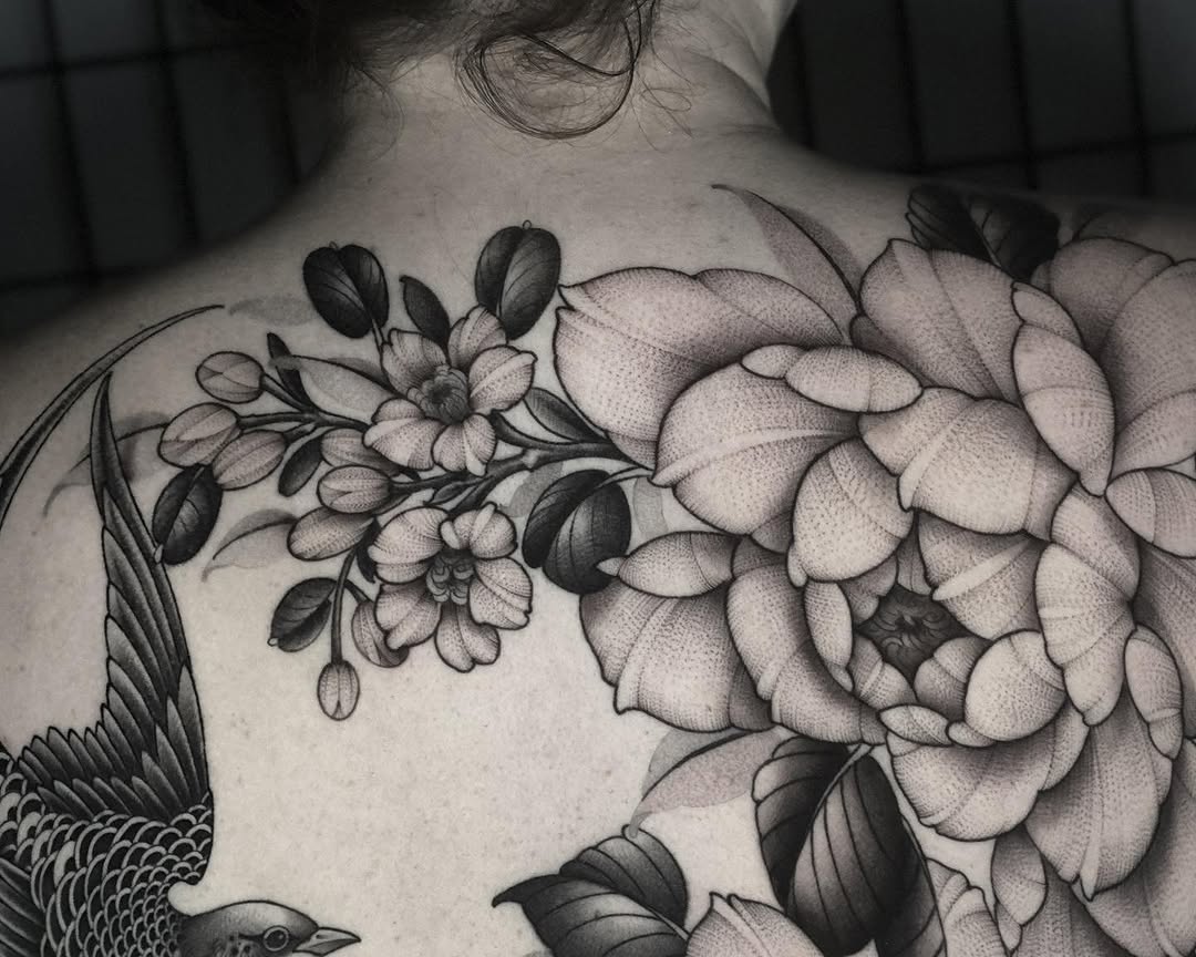 Flower, Nature, Rose