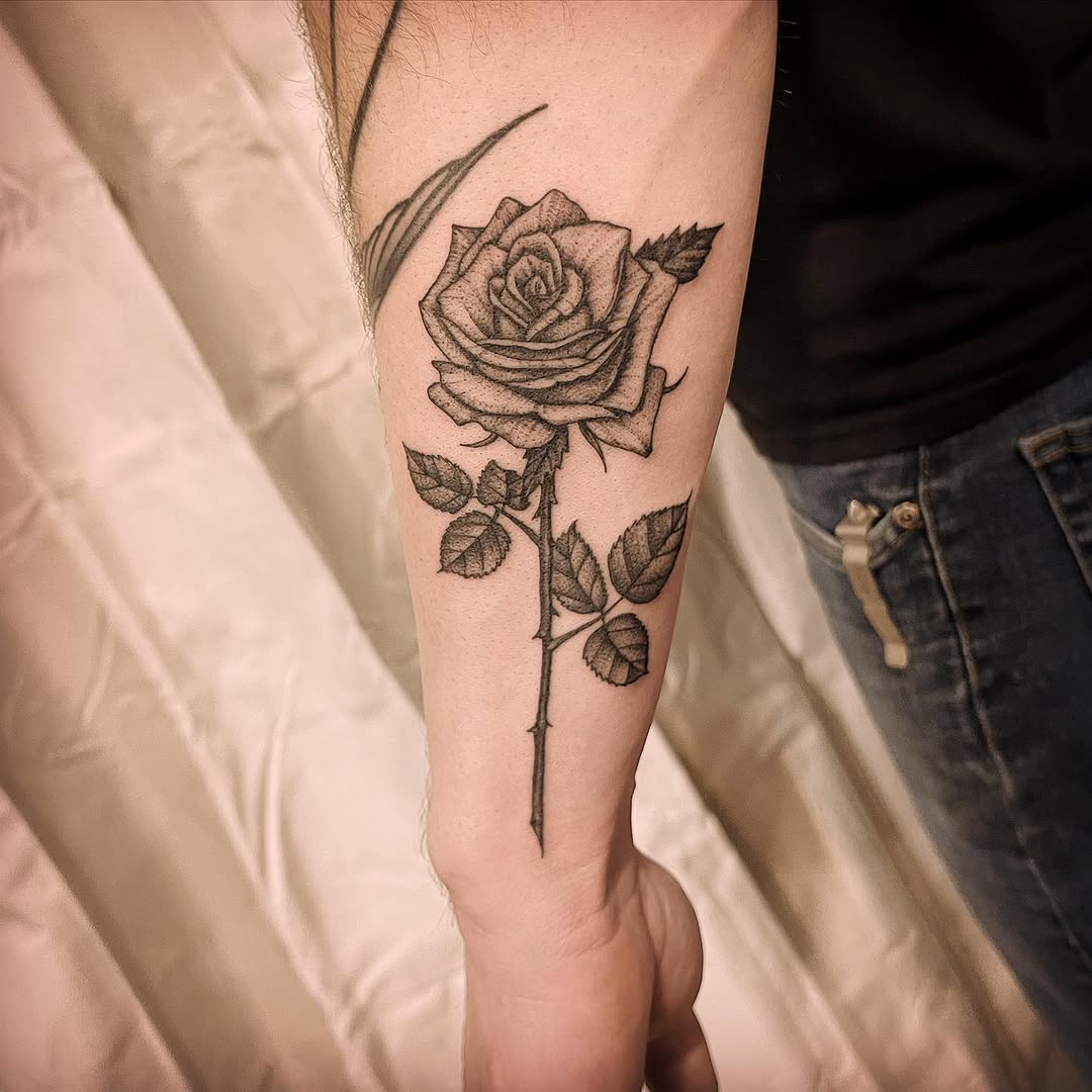 Flower, Rose