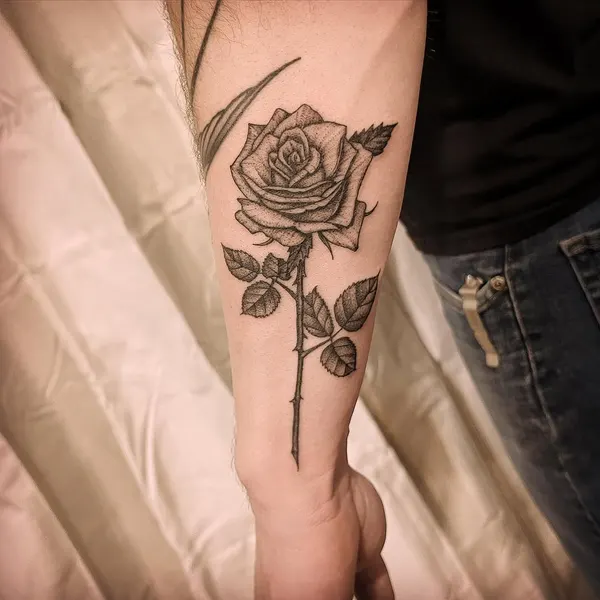 Flower, Rose