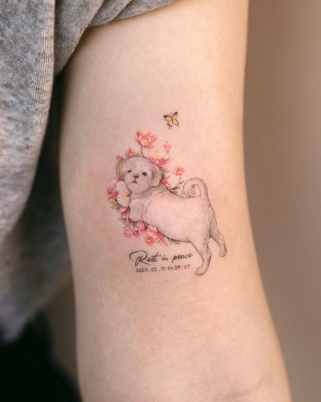 Mini, Animal