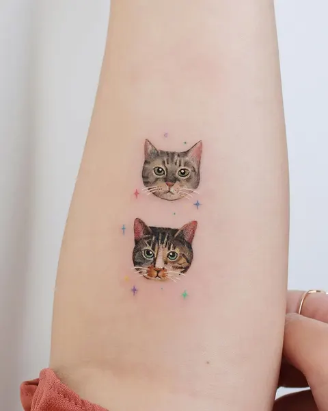 고양이