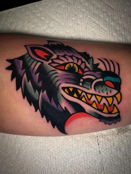 Tiger, Animal