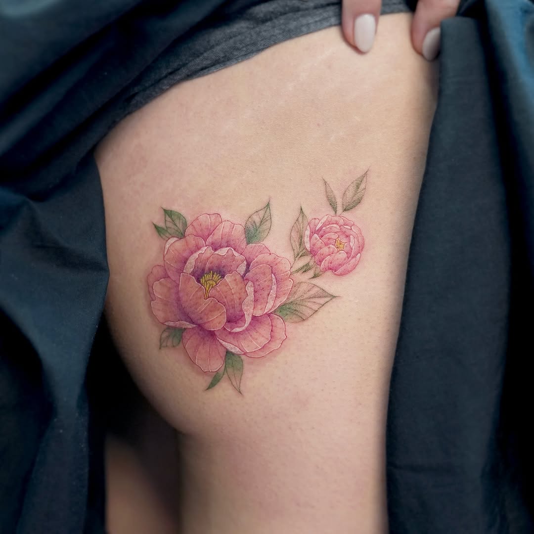 Flower, Rose, Nature
