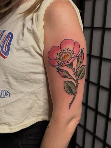 Flower, Rose