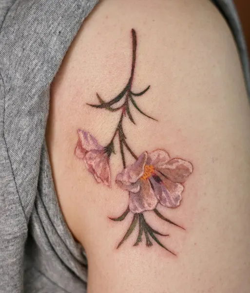 Flower, Rose