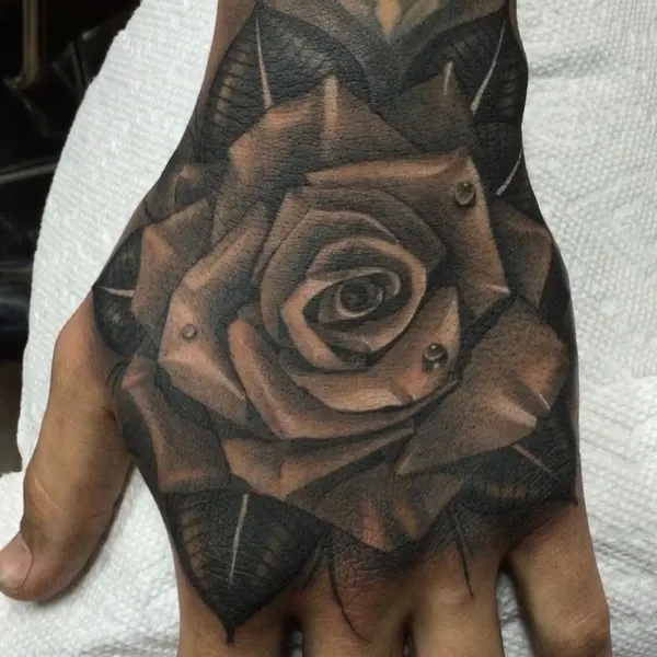 Flower, Rose