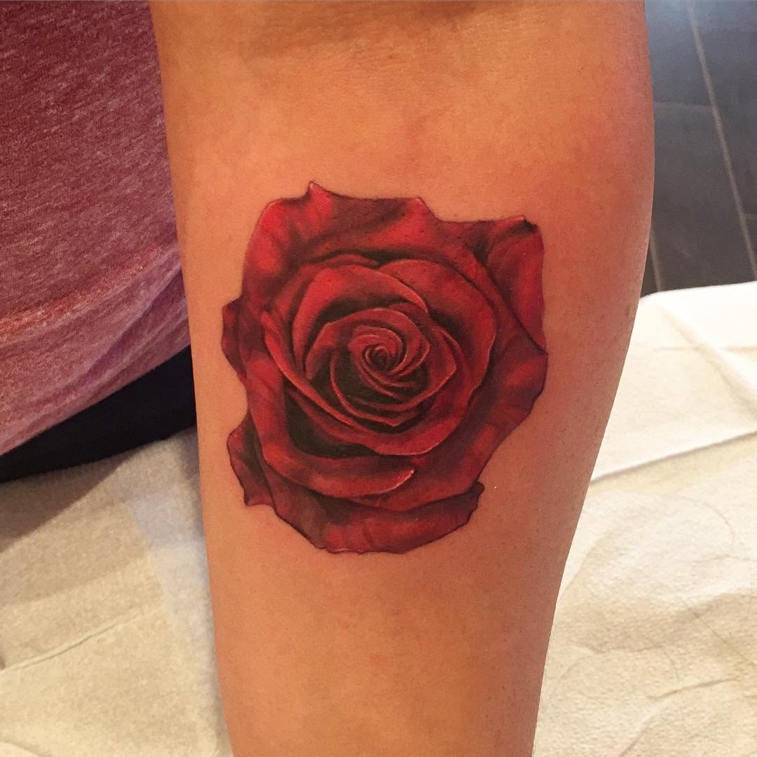 Flower, Rose