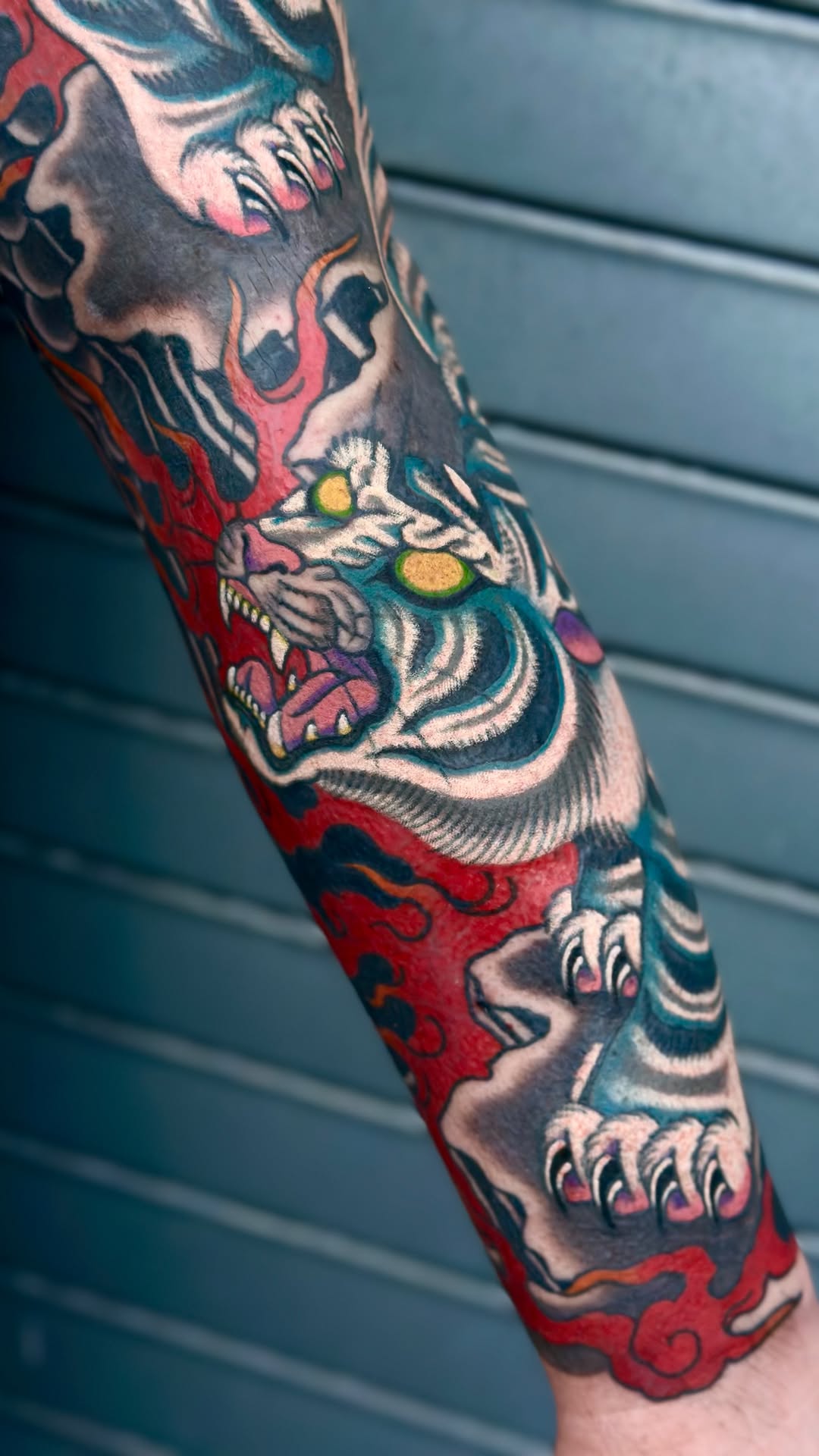 Tiger, Animal