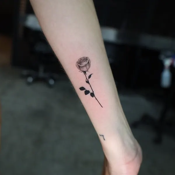 Flower, Rose