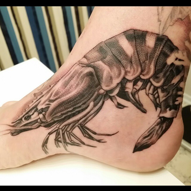 Animal