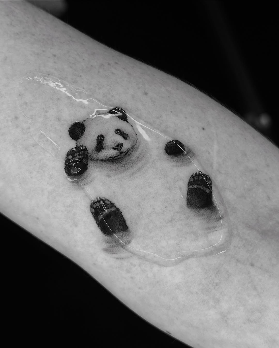 40.tatt