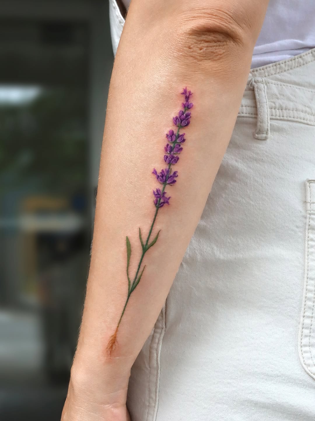 허브, Flower, 라벤더