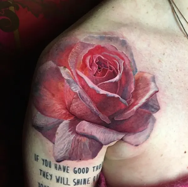 Flower, Rose, Nature