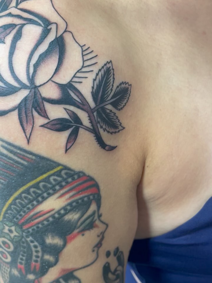 Flower, Rose