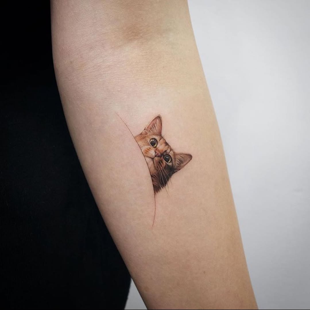 equilattera