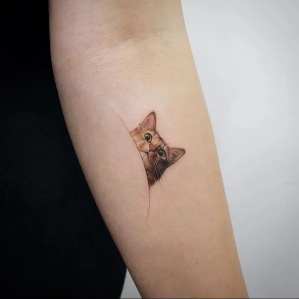 equilattera