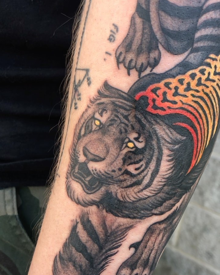 Tiger
