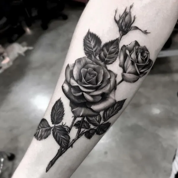 Flower, Rose