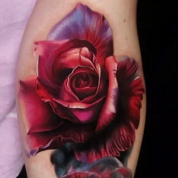 Flower, Rose