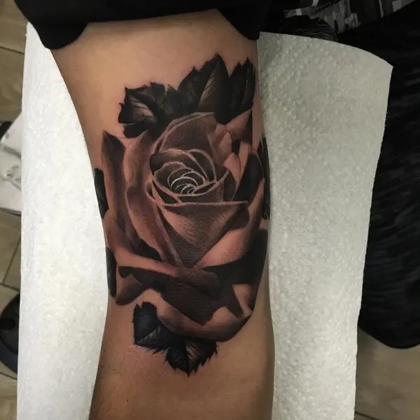 Flower, Rose