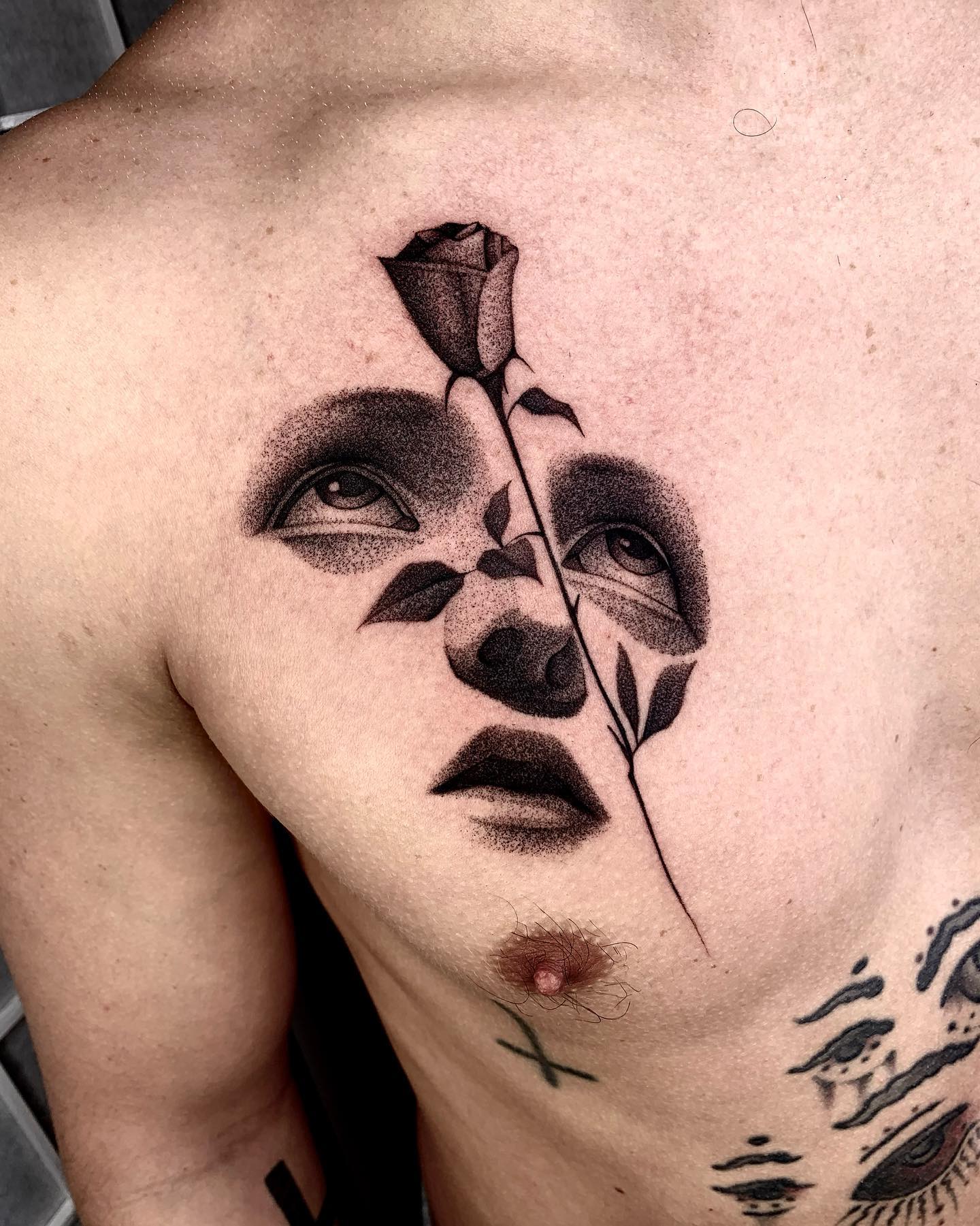 Flower, Rose