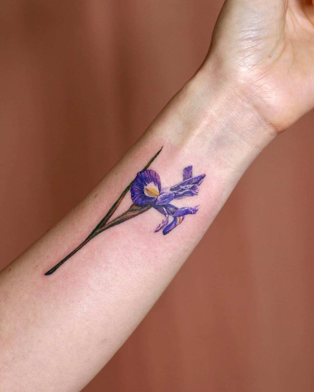 Flower, 난초, 아이리스, 백합, 튤립