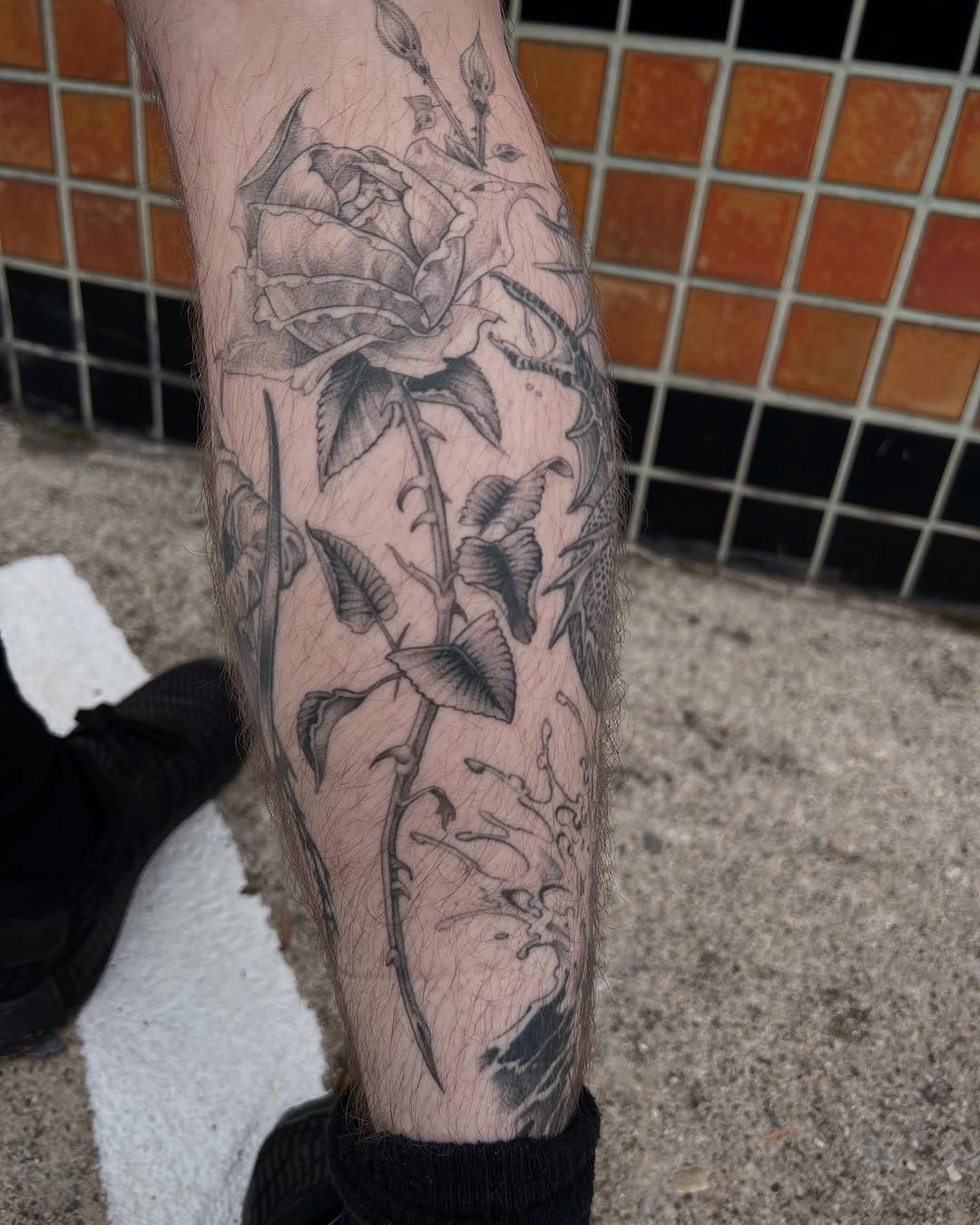 Flower, Rose