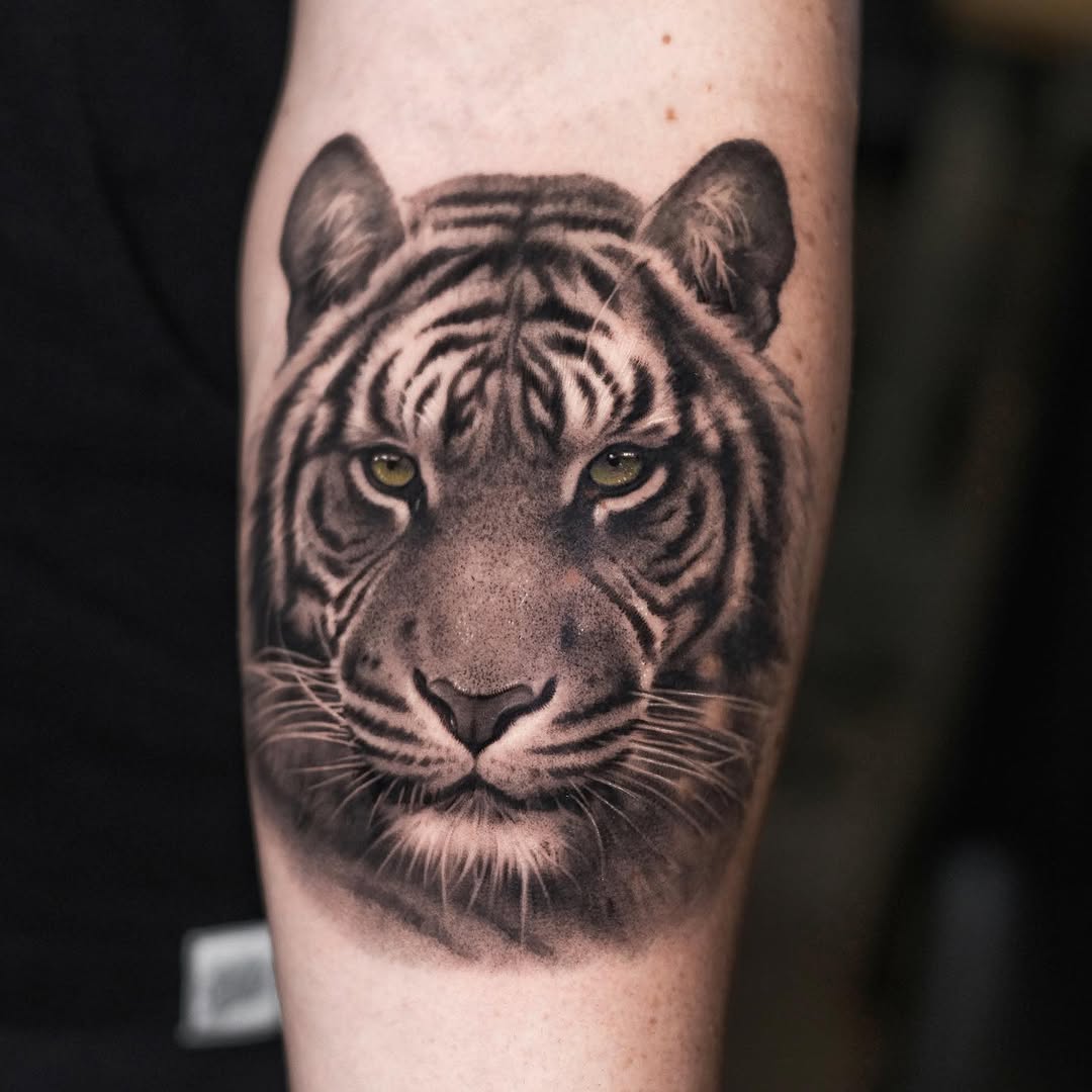 Tiger