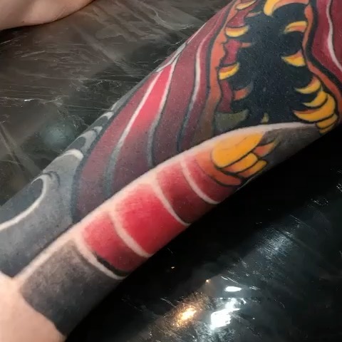 Animal, Dragon
