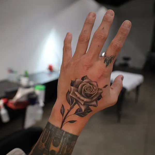 Flower, Rose