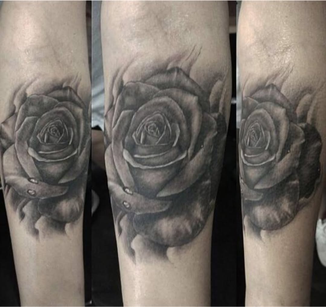 Flower, Rose