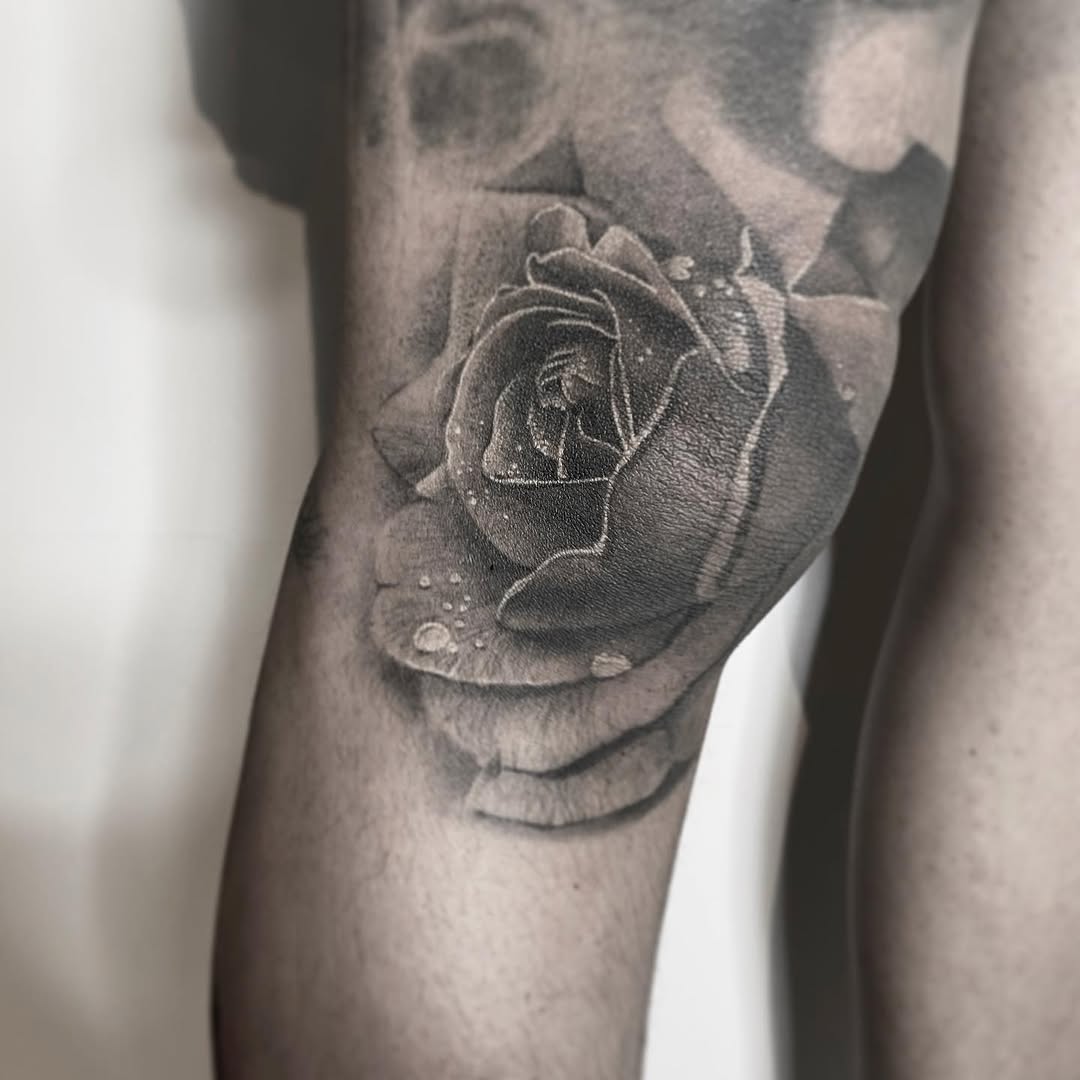 Flower, Rose