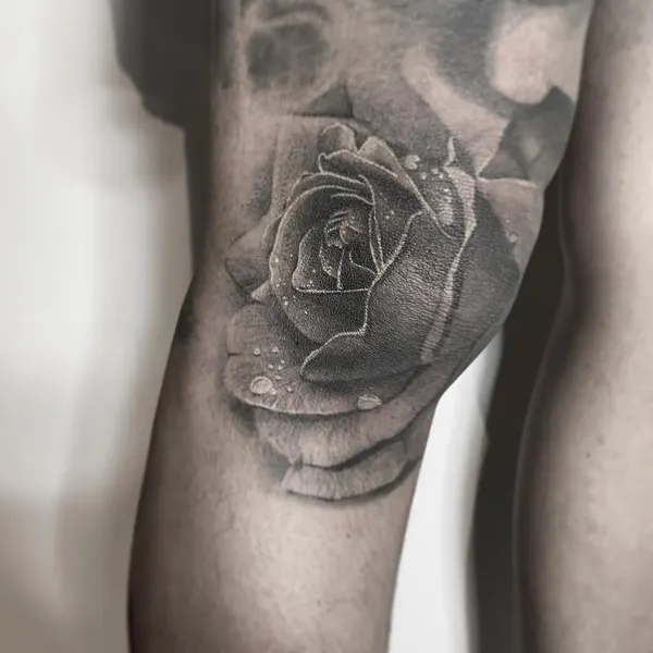 Flower, Rose