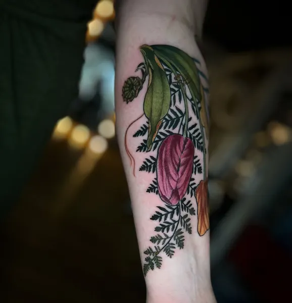Flower, Rose