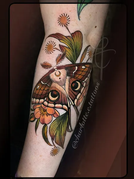 Animal, Nature