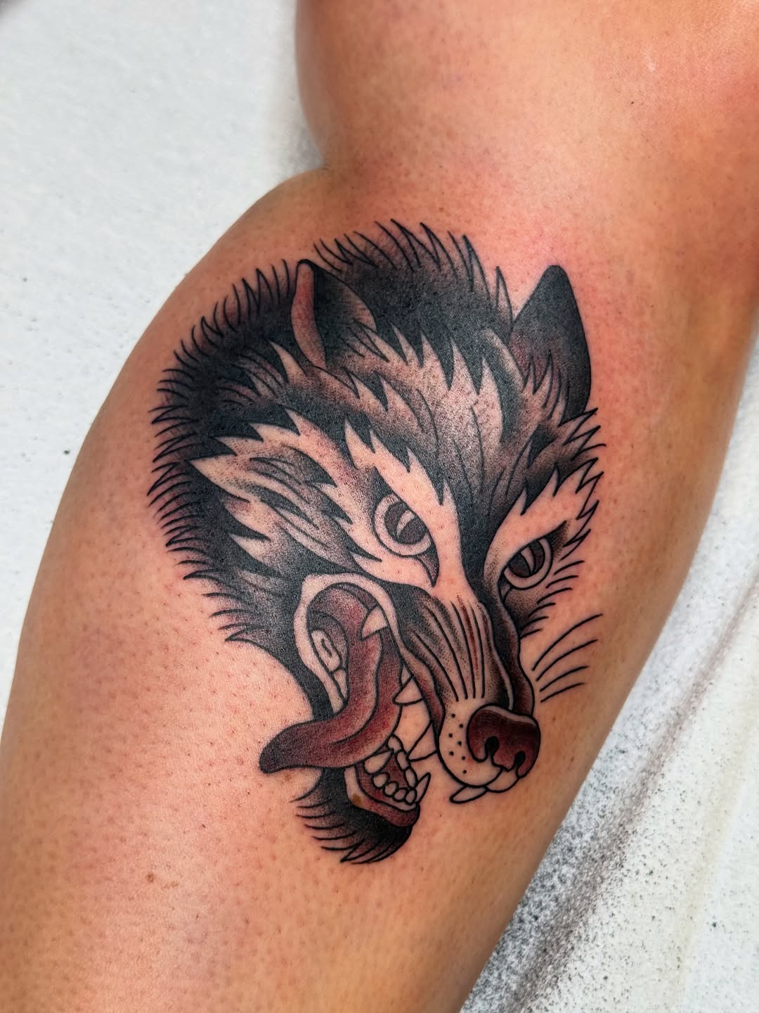 Animal, Tiger