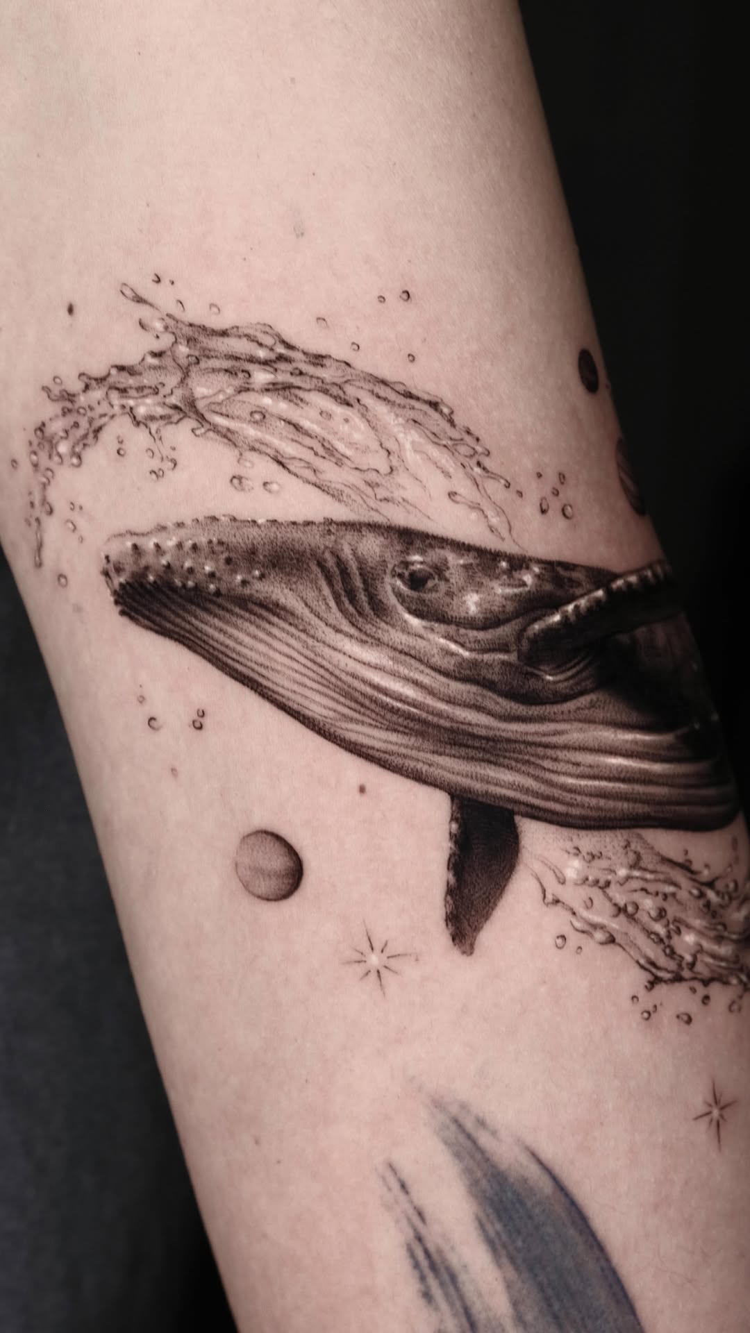 40.tatt