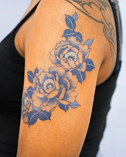Flower, Rose, Nature
