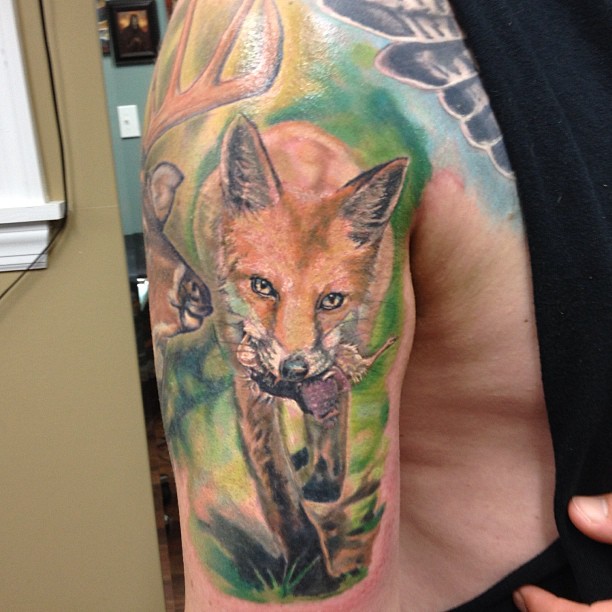 Animal